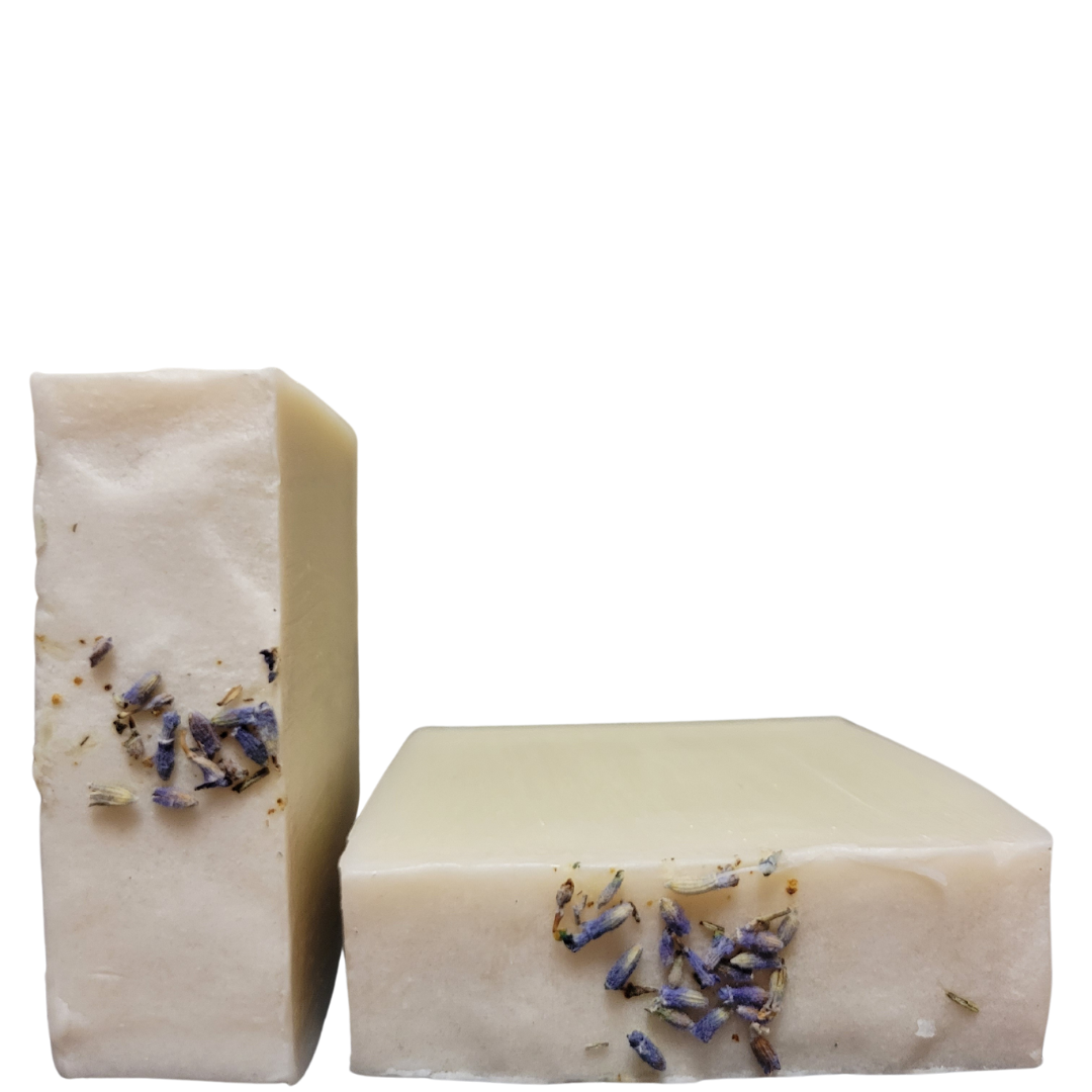 Lavandula