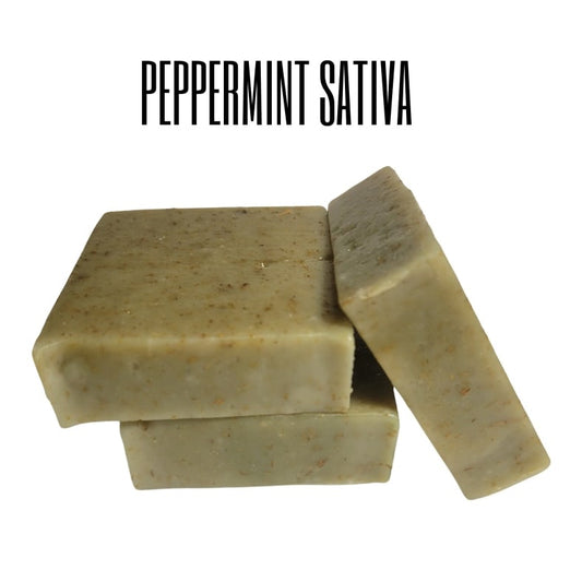 Peppermint Sativa